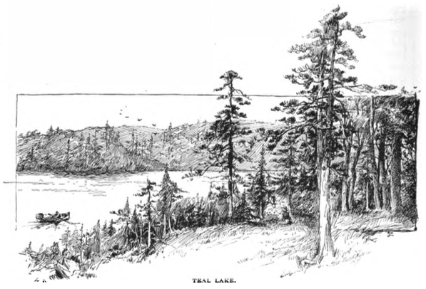 Teal Lake