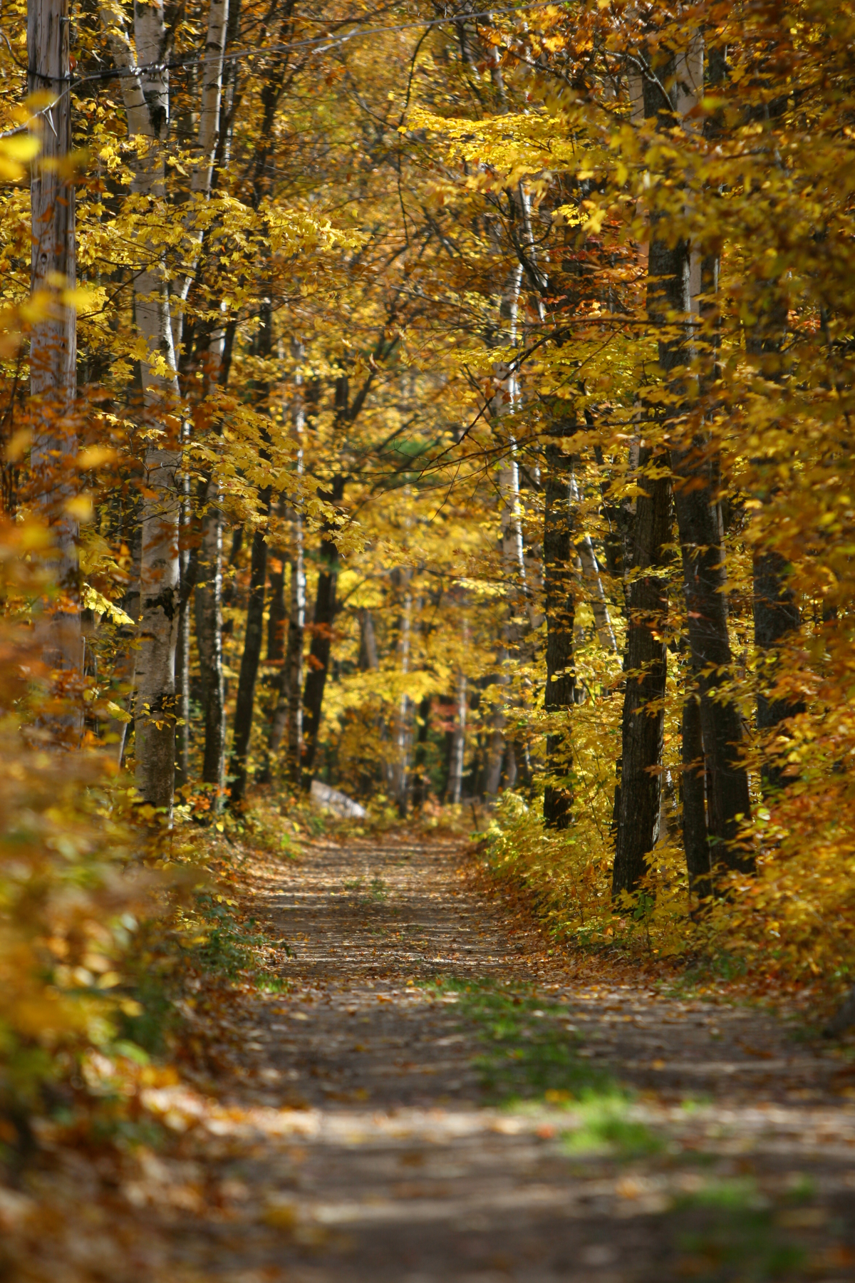 Fall Colors in Upper Peninsula