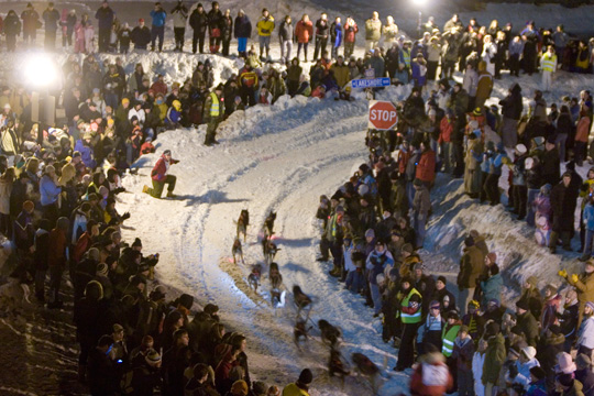 Dogsled Race