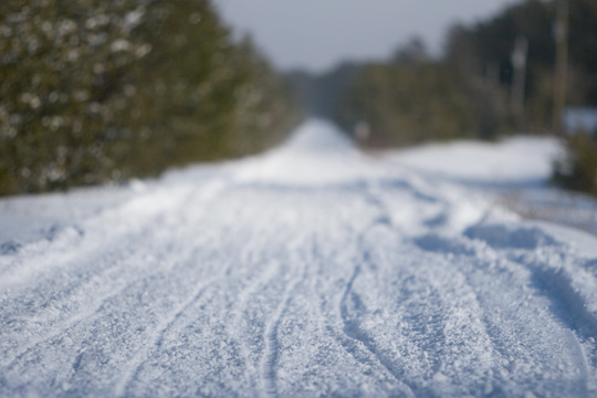 U.P. 200 Sled Dog Race