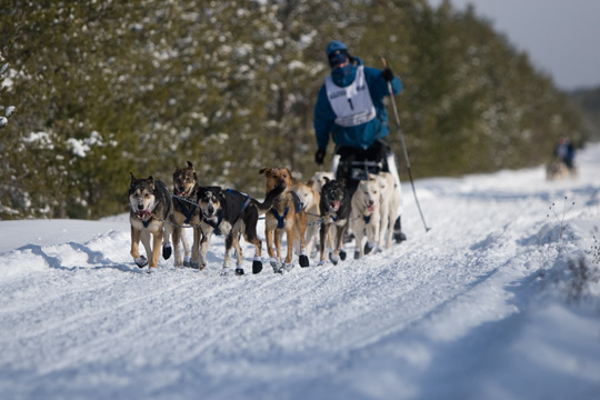 Upper Peninsula News