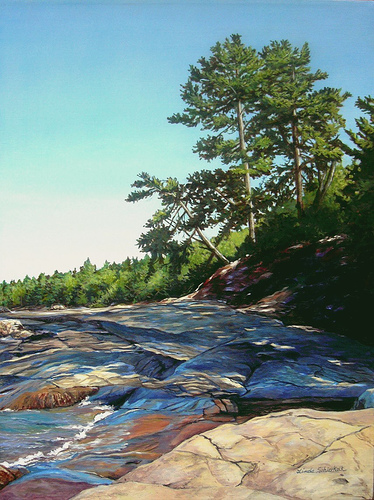 Trees on Lake Superior Shoreline