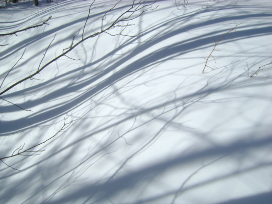 Upper Peninsula Winter