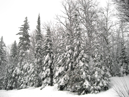 Marquette Snowstorm