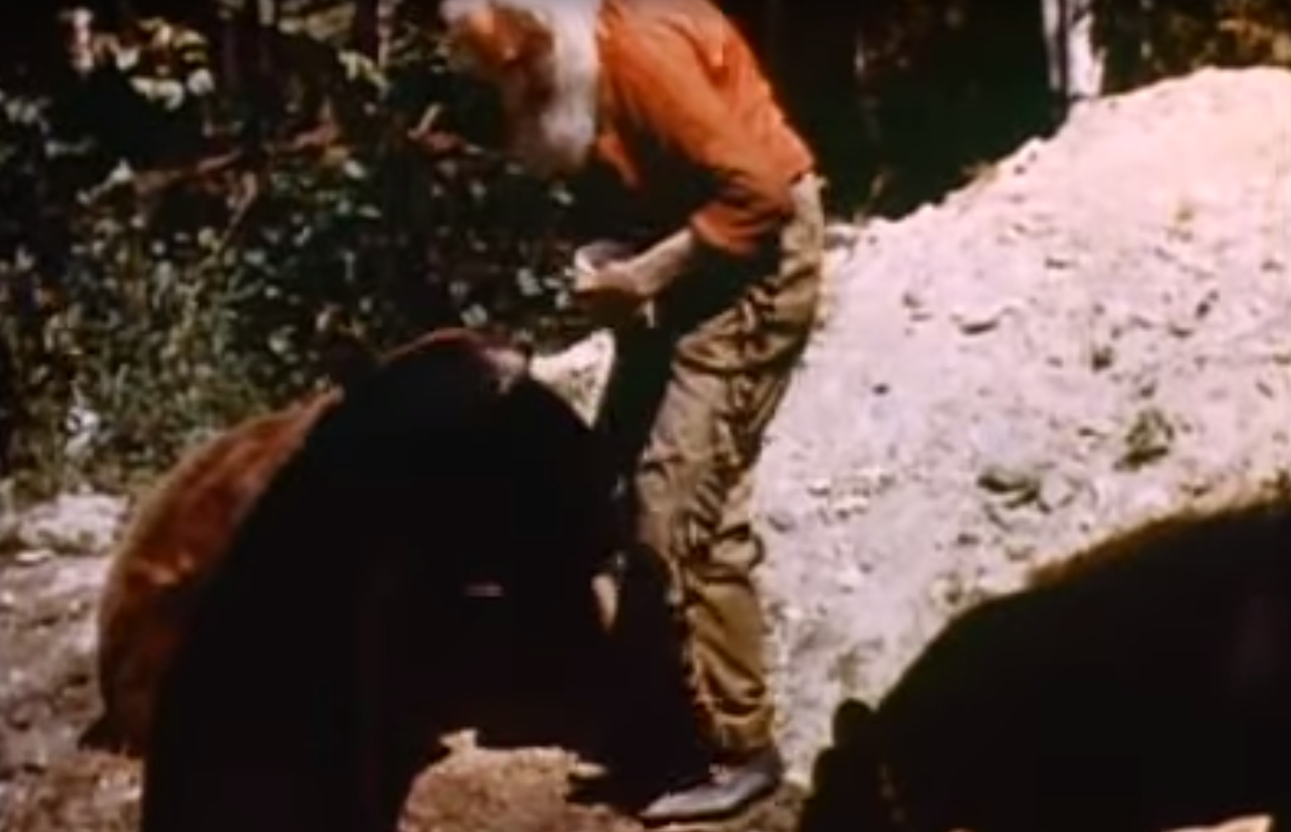 Roaming through Michigan