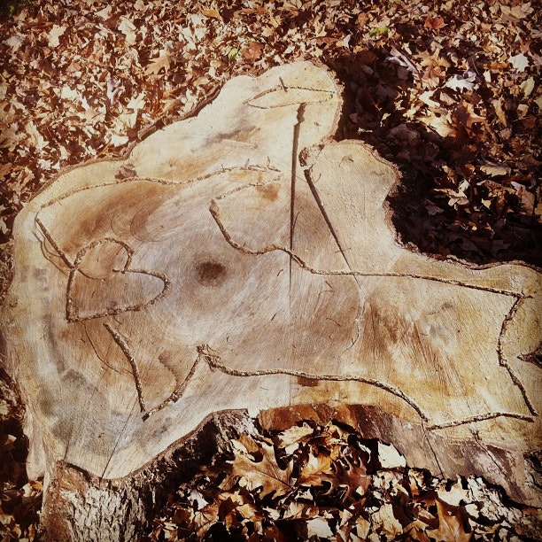 Upper Peninsula Tree Stump