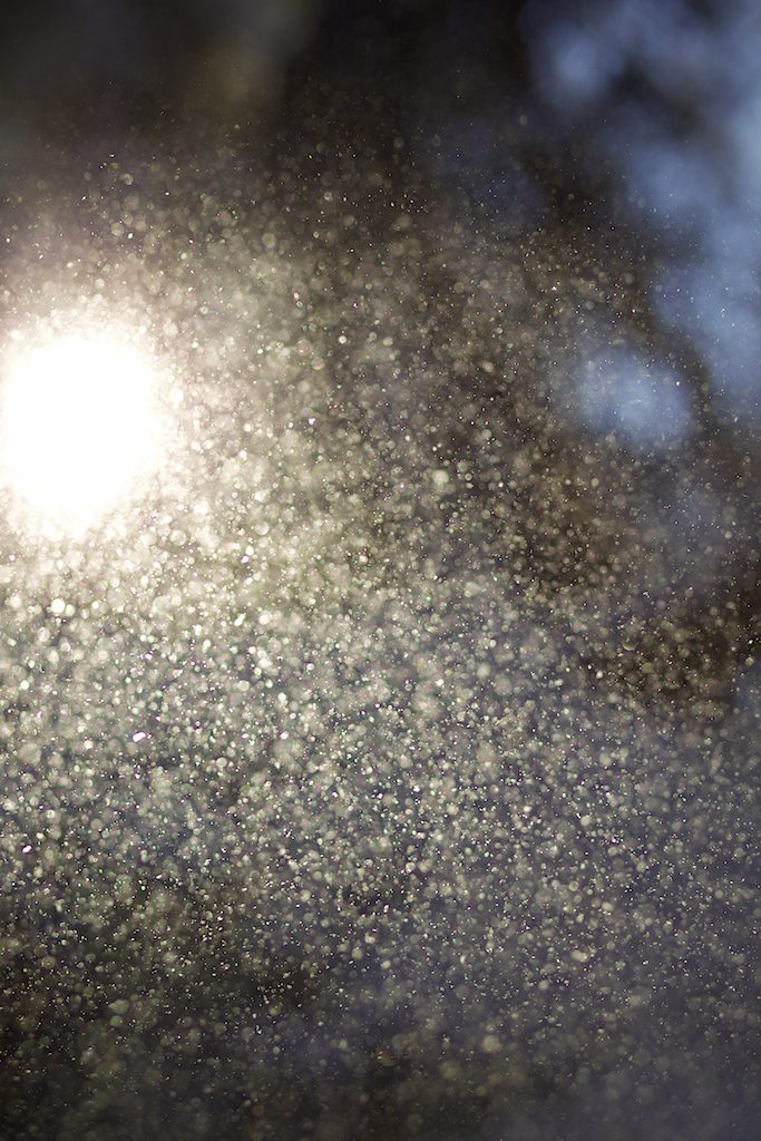 Snow in the sunlight