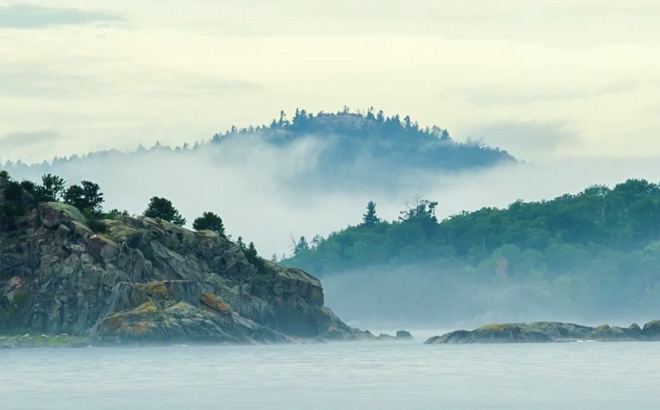 Into the Fog by Justin Armstrong