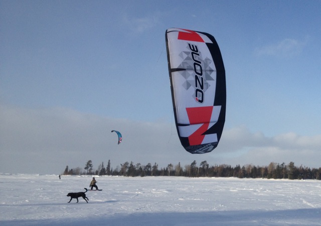 Kite Surfing Dogs