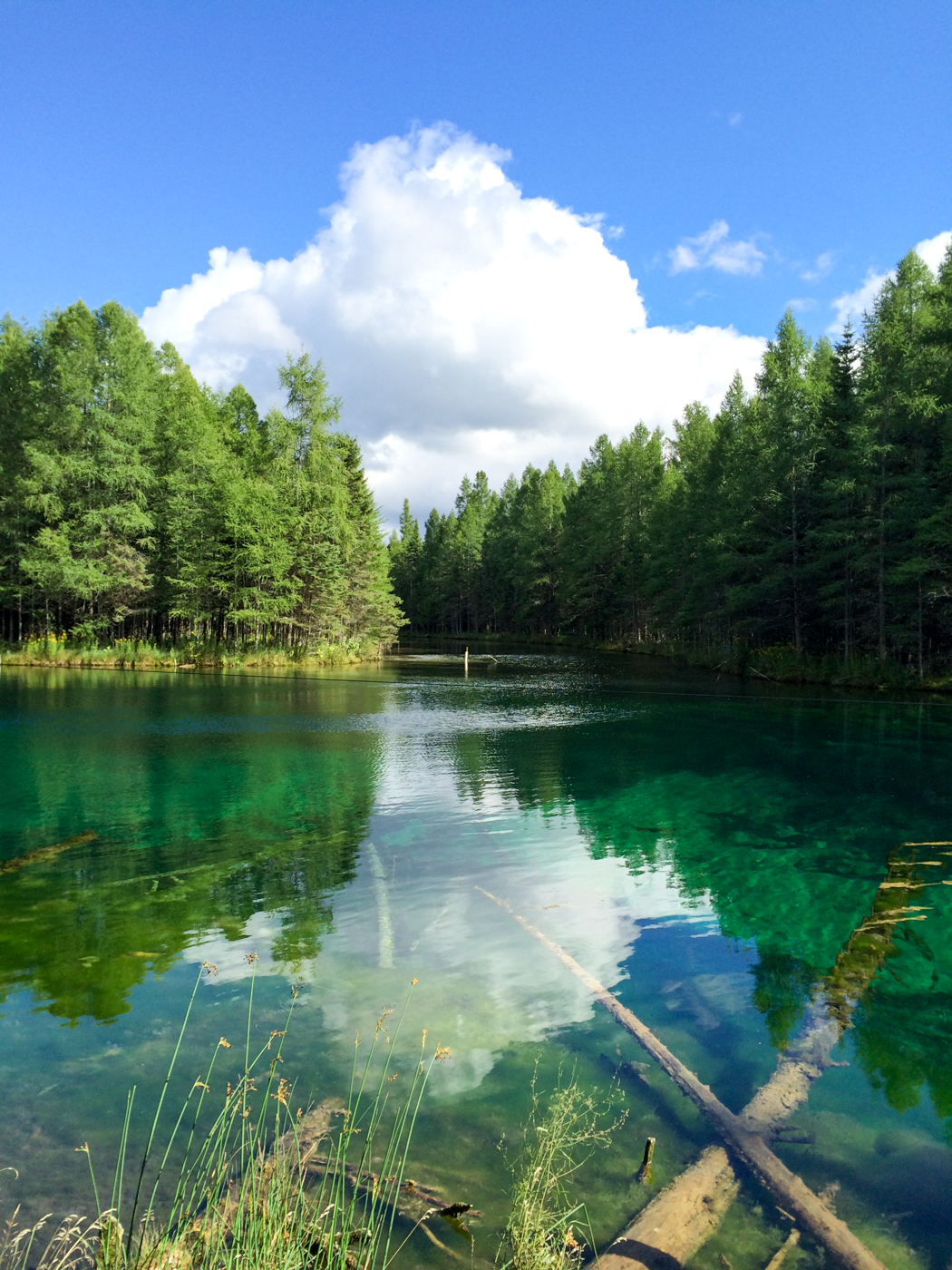The Big Spring, largest natural spring in Michigan