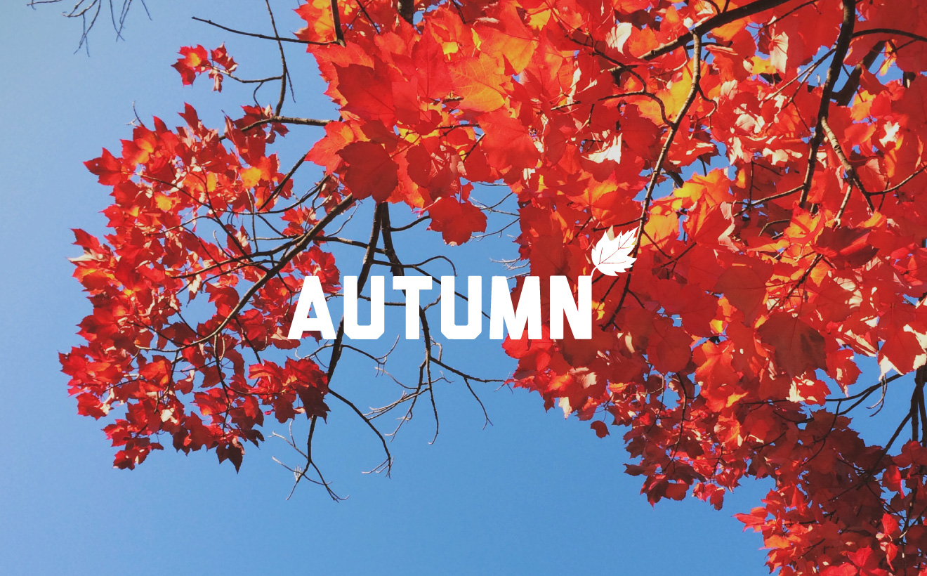 We love Fall, but these people said it better than we can