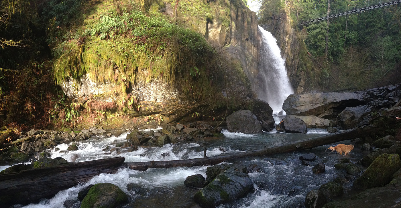 drift creek falls lincoln city